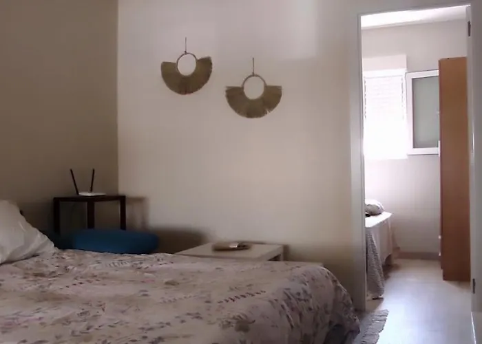 Zeus * تورّيفيِخا