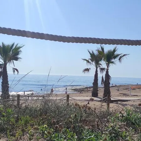 Lejlighed Zeus Torrevieja